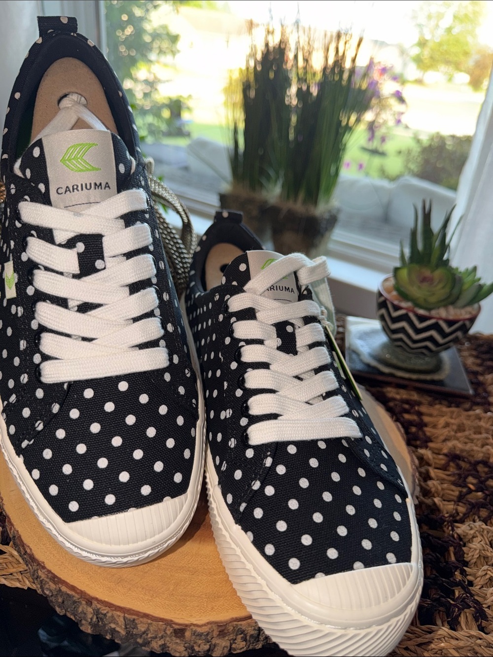 Cariuma OCA Low Black White Polka Dot Canvas Sneakers Women's 10 NIB